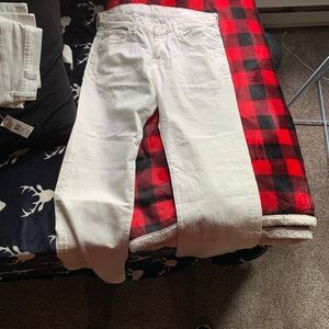 7 for all Mankind Austyn